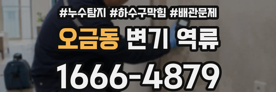 오금동 변기 역류