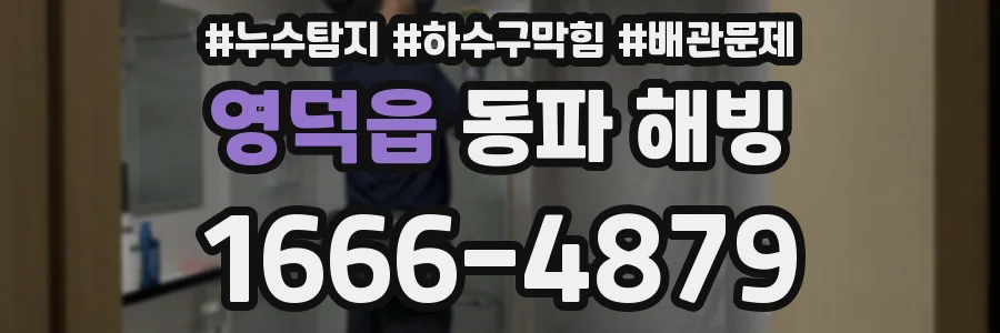 영덕읍 동파 해빙
