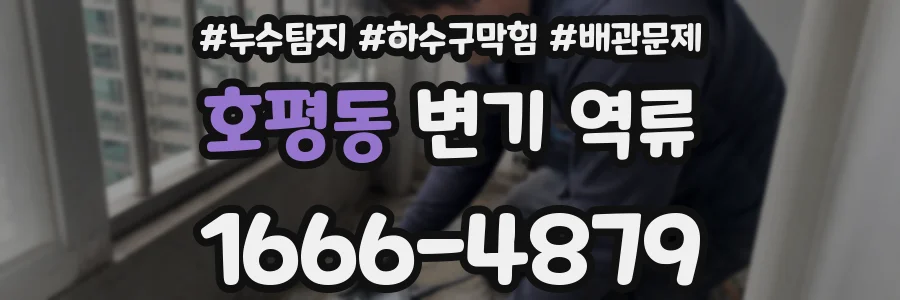 호평동 변기 역류