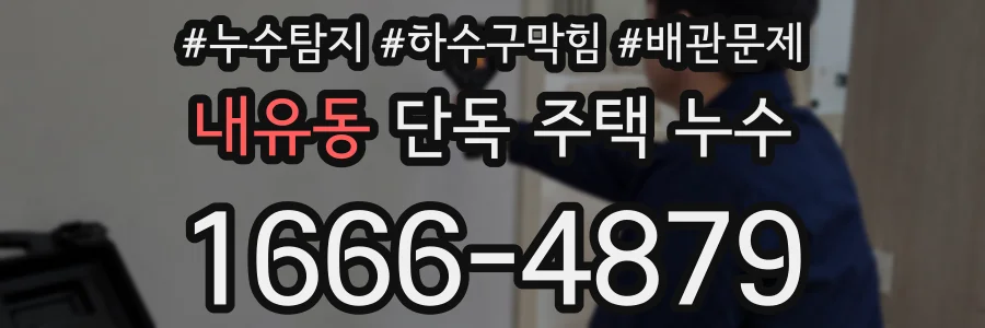 내유동 단독 주택 누수