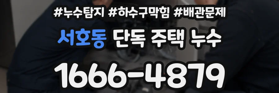 서호동 단독 주택 누수