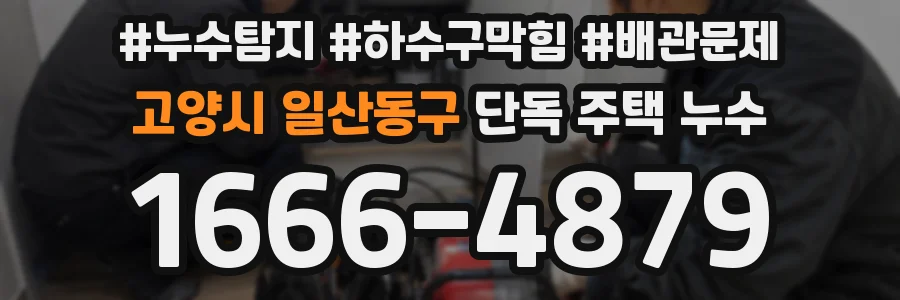 고양시 일산동구 단독 주택 누수