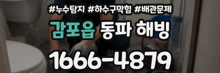 감포읍 동파 해빙
