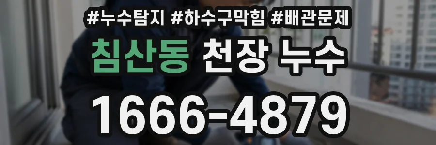 침산동 천장 누수