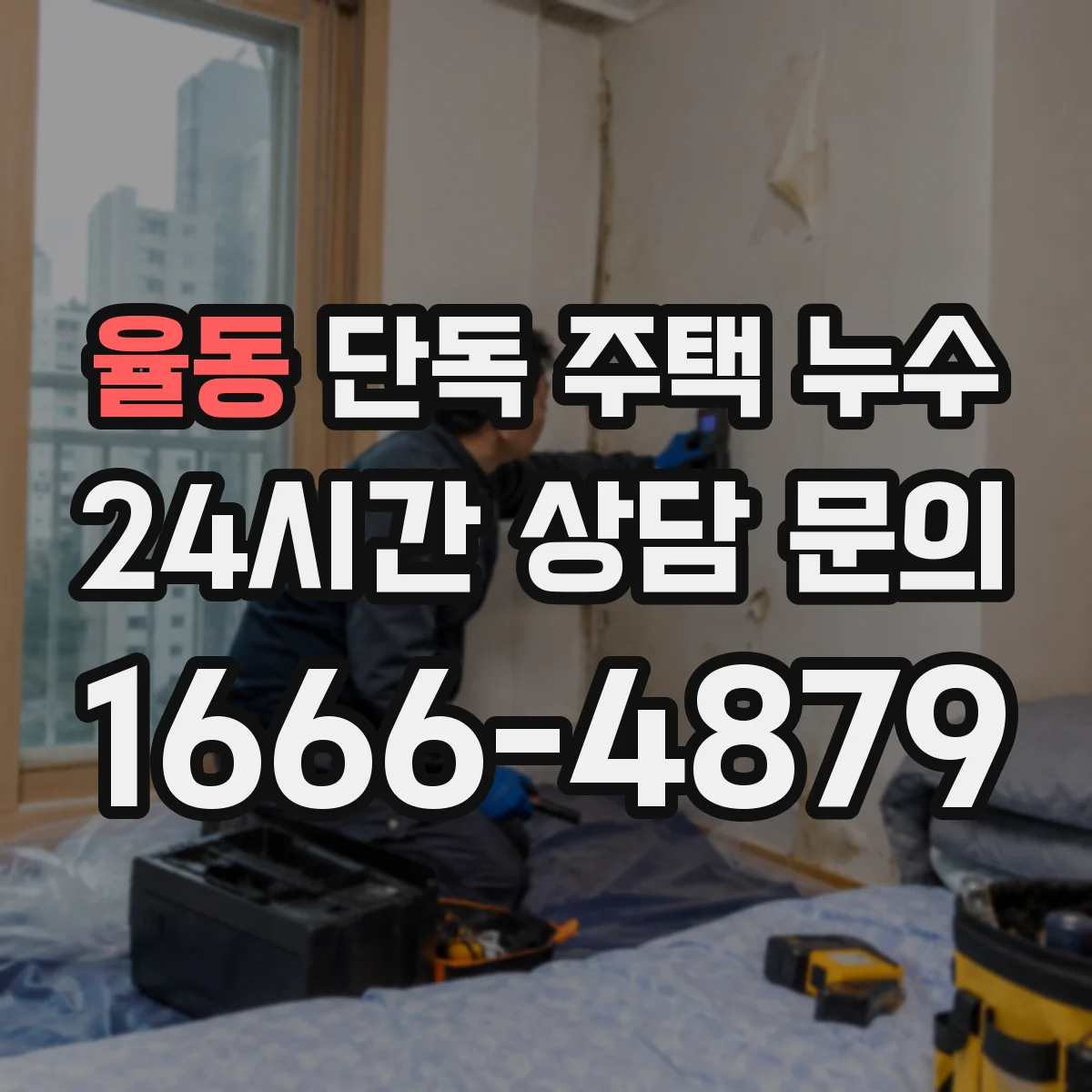 율동 단독 주택 누수