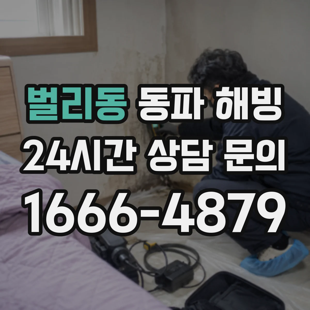 벌리동 동파 해빙