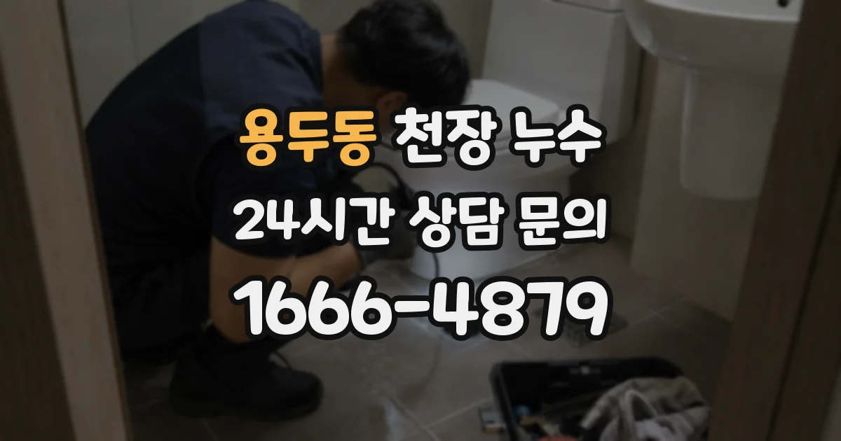 용두동 천장 누수