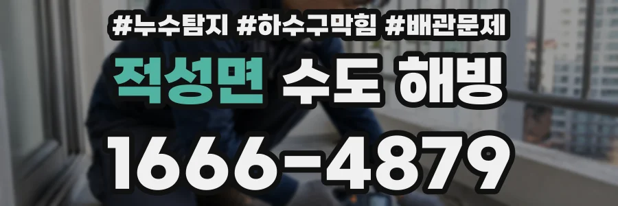 적성면 수도 해빙