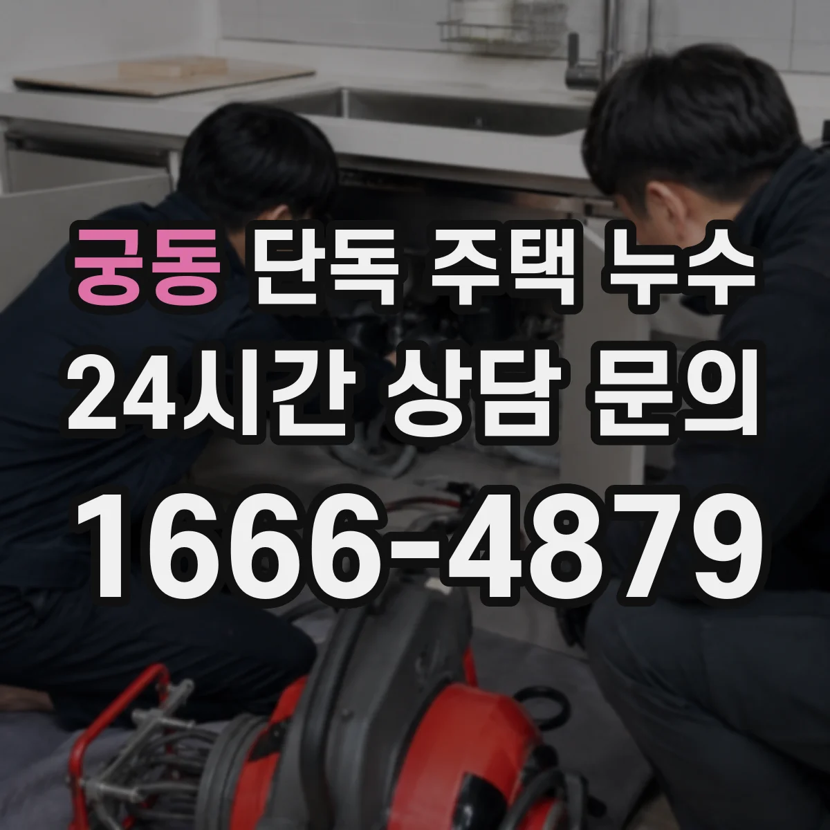 궁동 단독 주택 누수