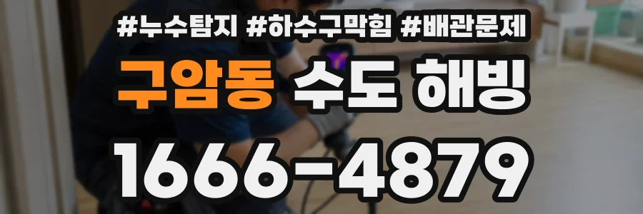 구암동 수도 해빙