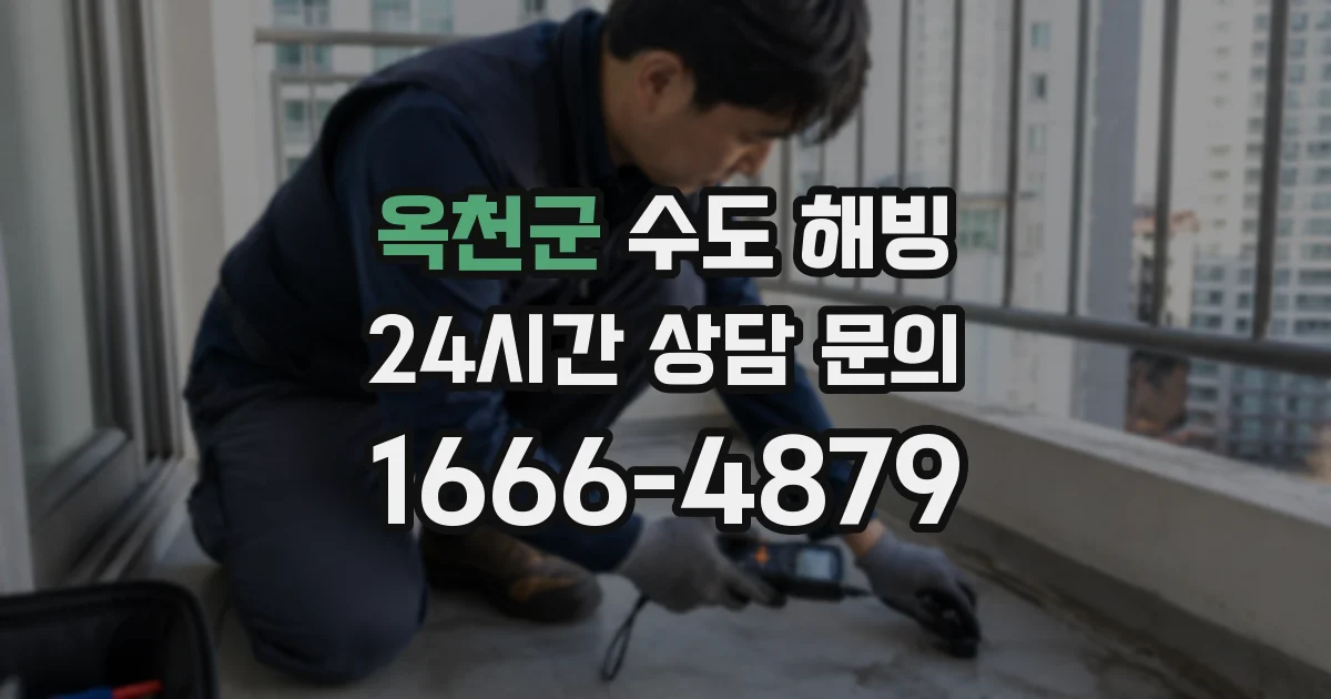 옥천군 수도 해빙