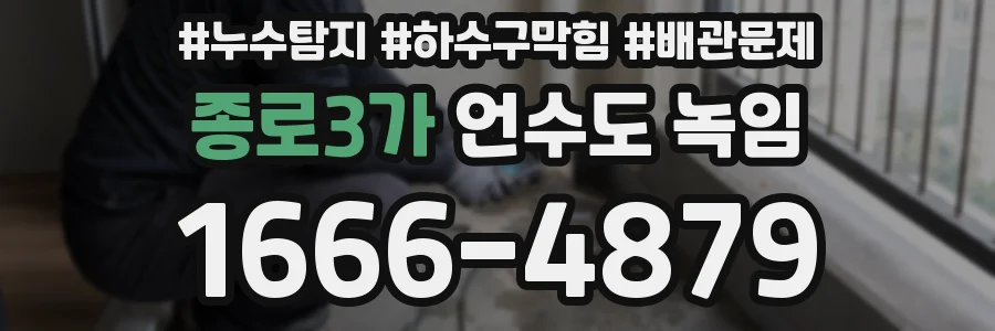 종로3가 언수도 녹임