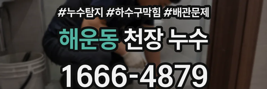 해운동 천장 누수