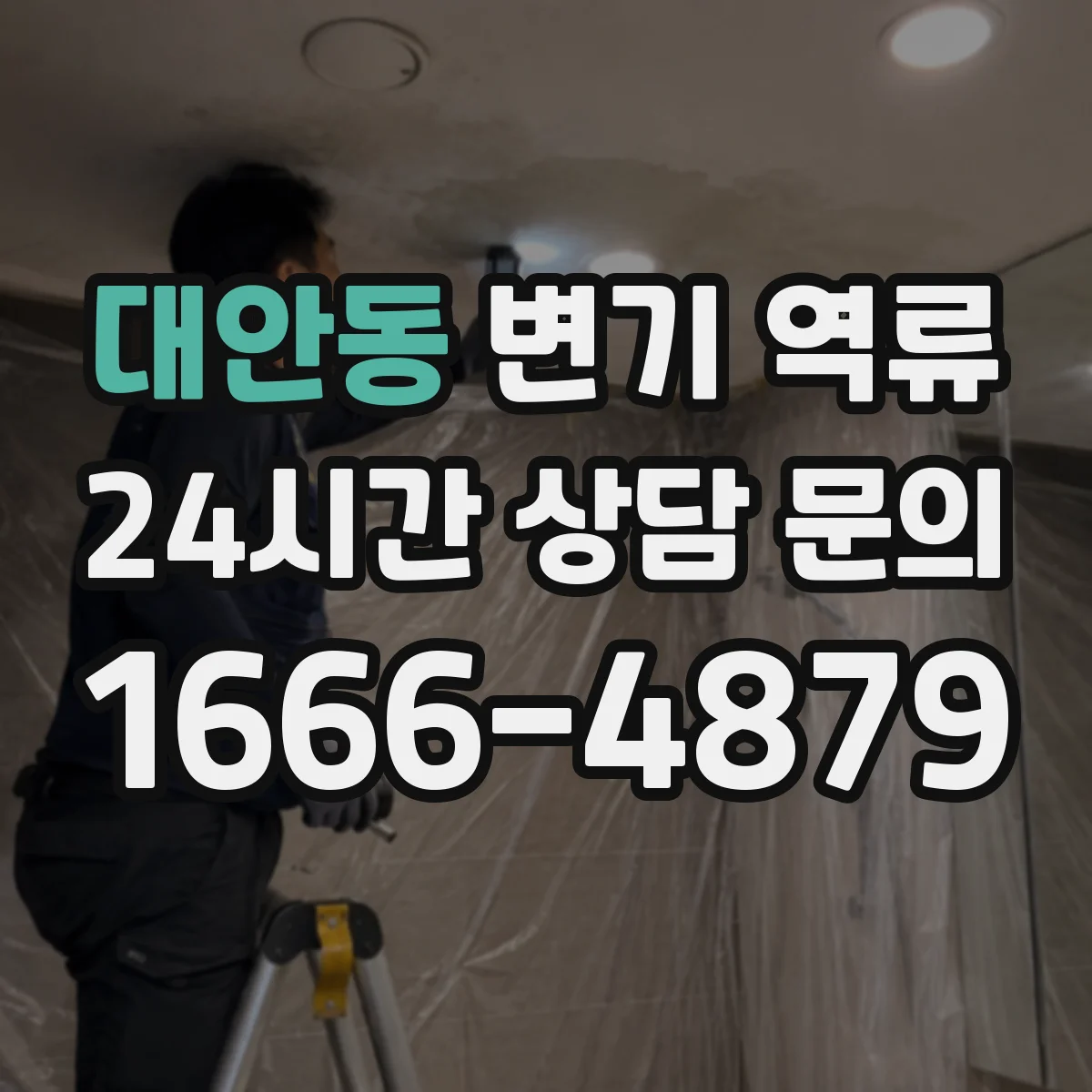 대안동 변기 역류