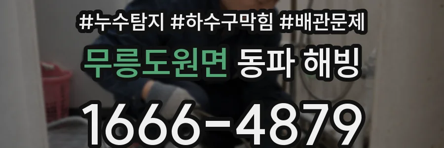 무릉도원면 동파 해빙