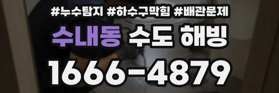 수내동 수도 해빙