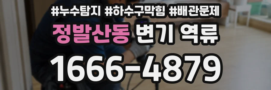 정발산동 변기 역류