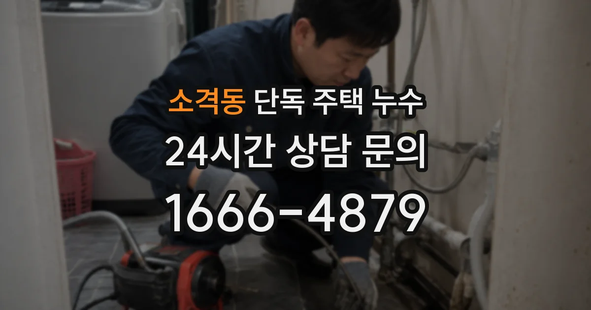 소격동 단독 주택 누수