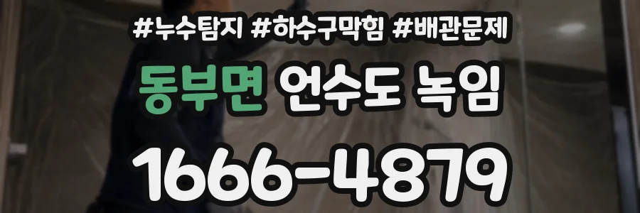 동부면 언수도 녹임
