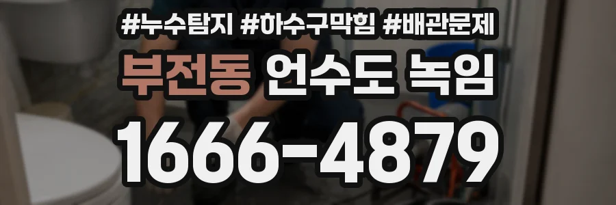 부전동 언수도 녹임