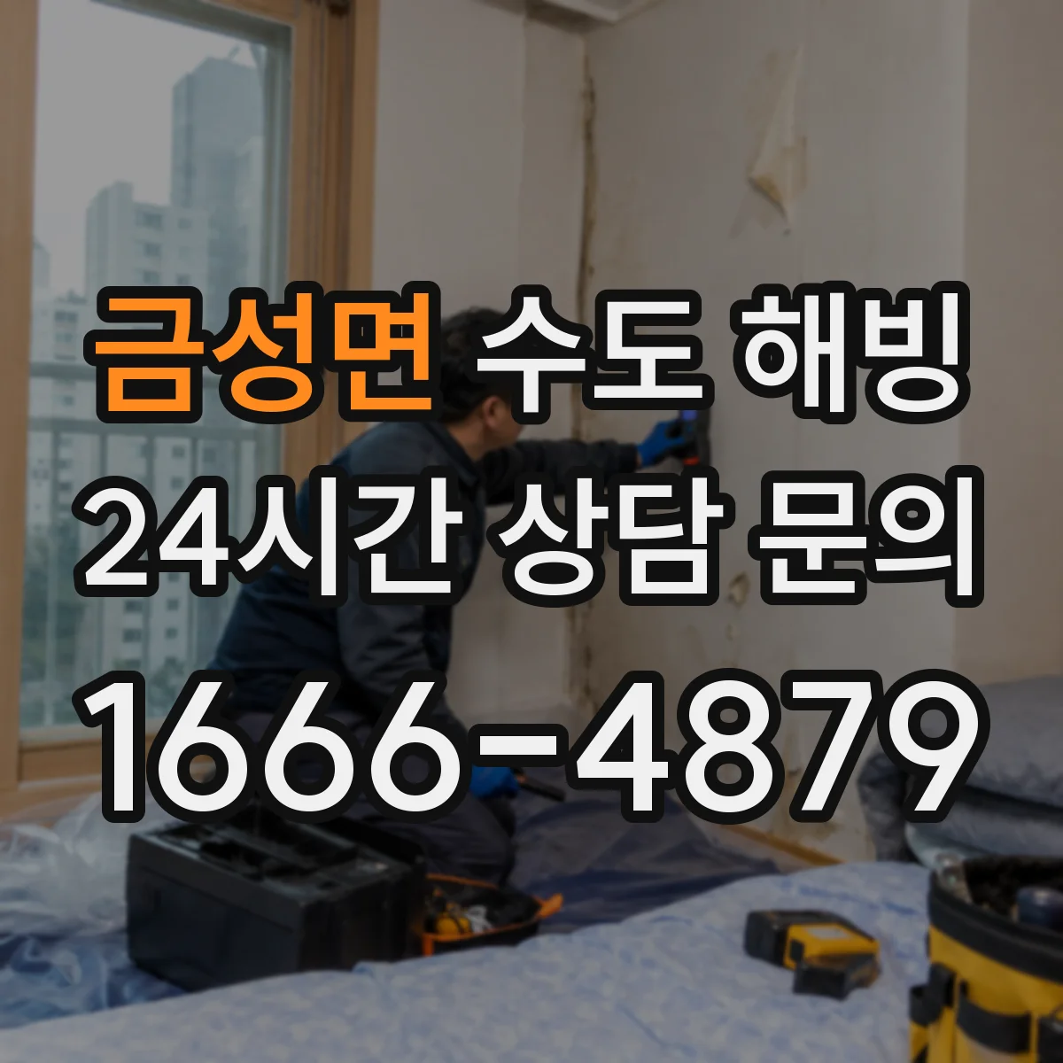 금성면 수도 해빙