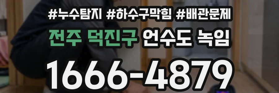 전주 덕진구 언수도 녹임