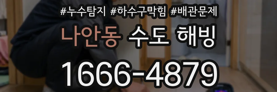 나안동 수도 해빙