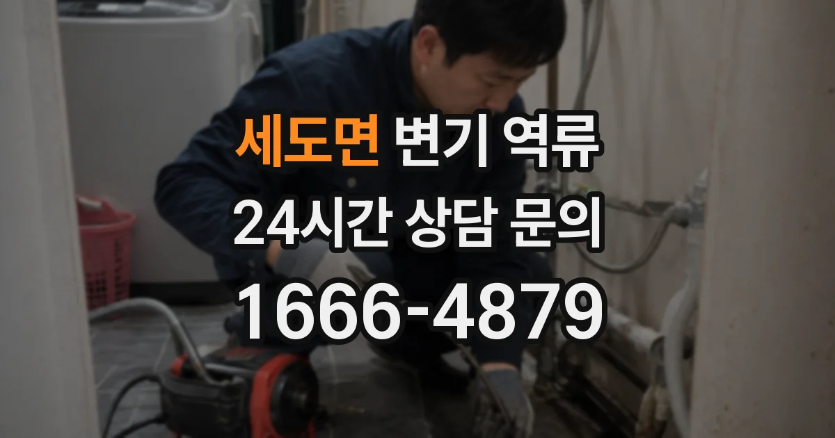 세도면 변기 역류