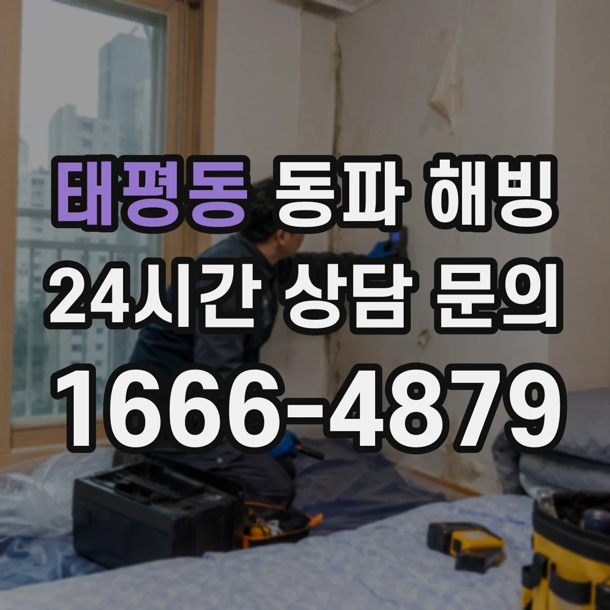 태평동 동파 해빙