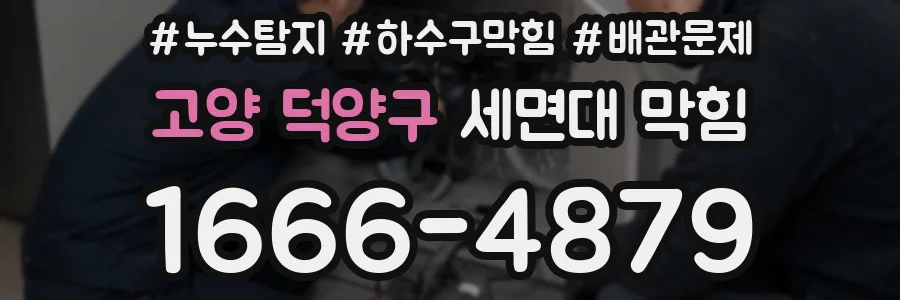 고양 덕양구 세면대 막힘