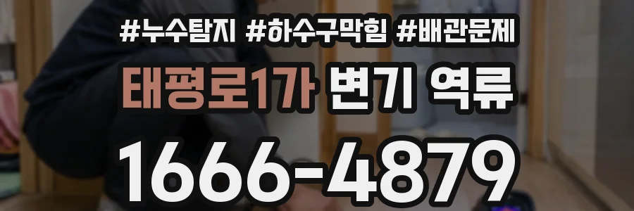 태평로1가 변기 역류