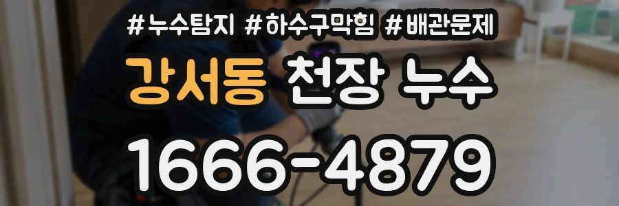 강서동 천장 누수
