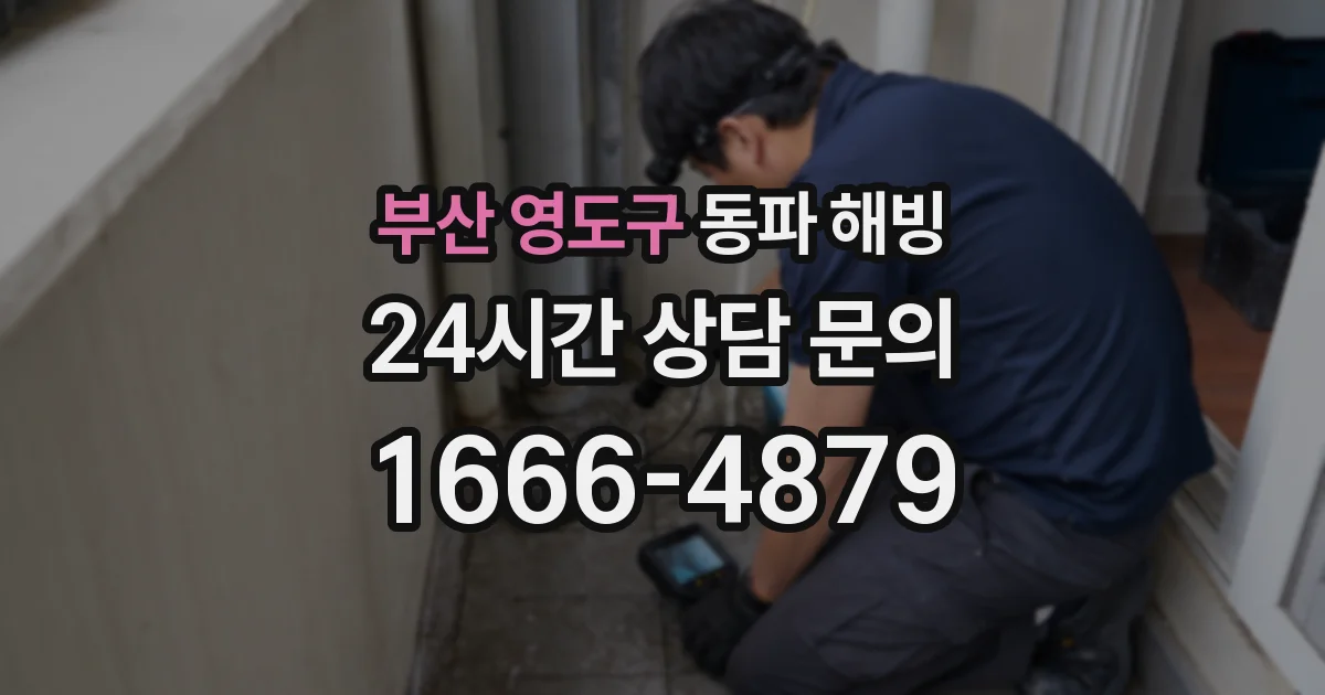 부산 영도구 동파 해빙
