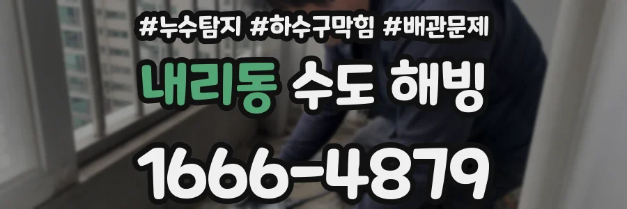 내리동 수도 해빙