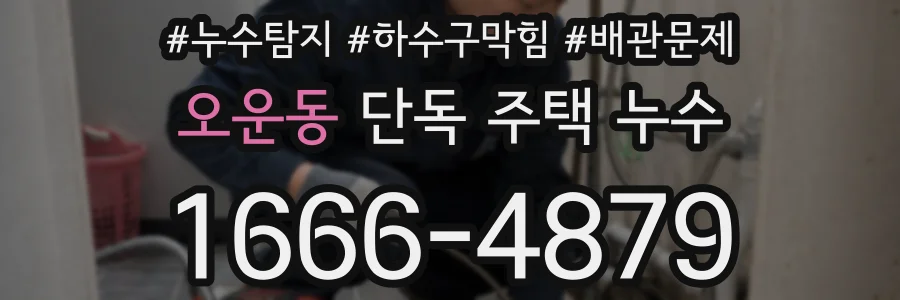 오운동 단독 주택 누수