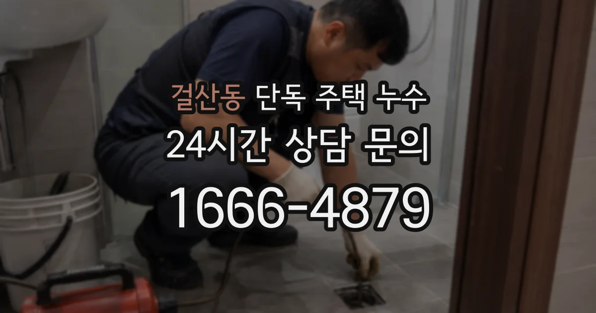 걸산동 단독 주택 누수
