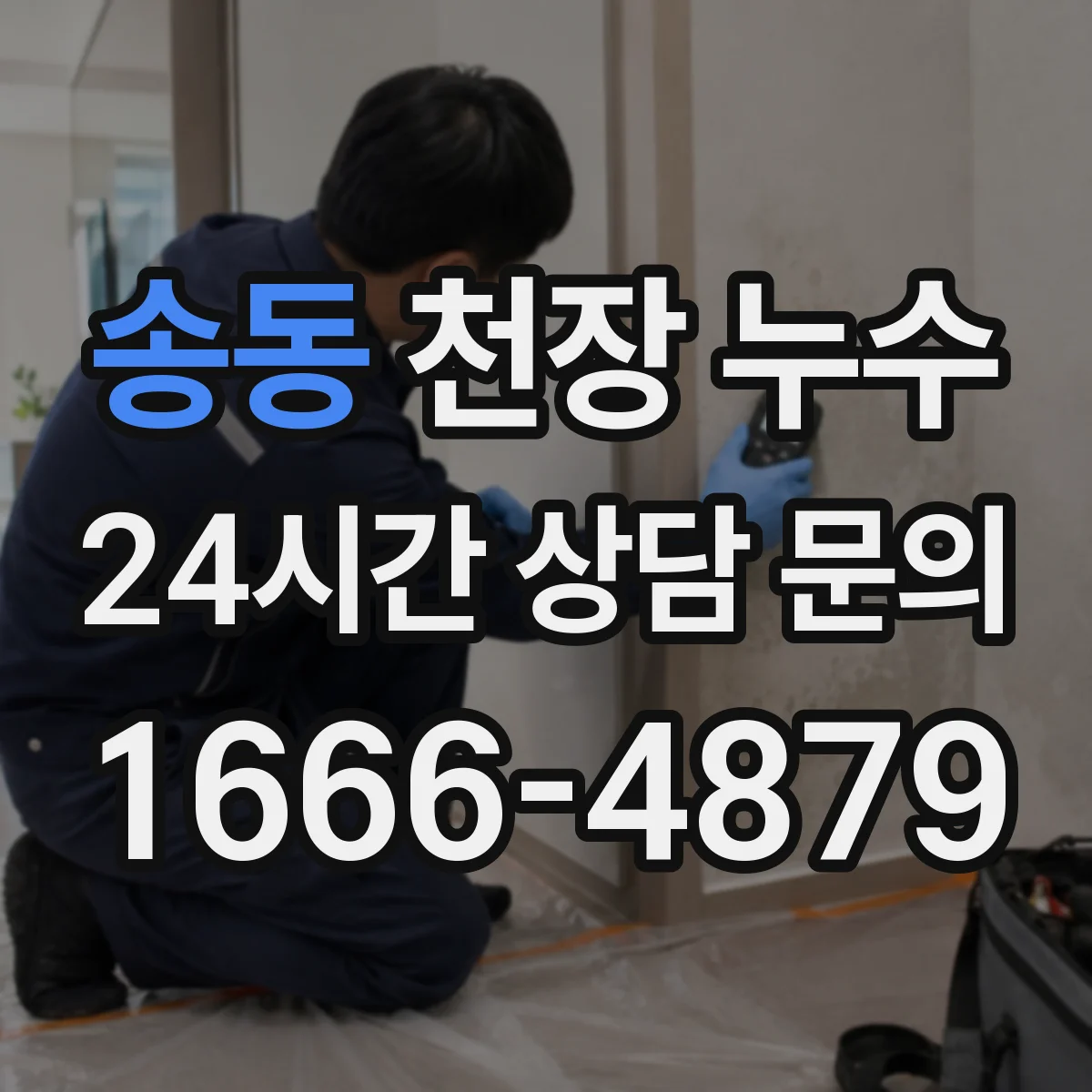 송동 천장 누수