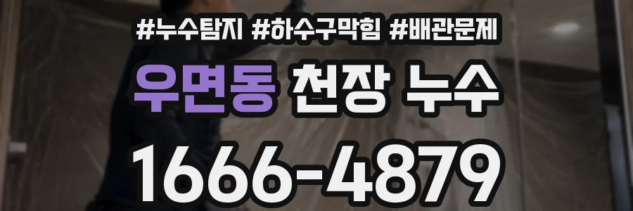 우면동 천장 누수