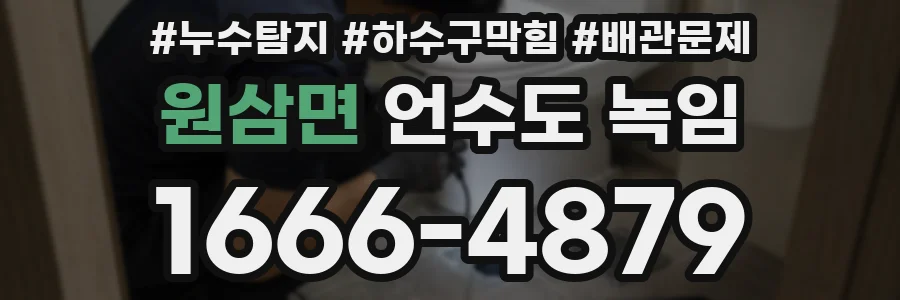 원삼면 언수도 녹임