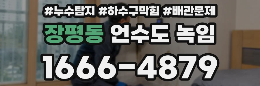 장평동 언수도 녹임