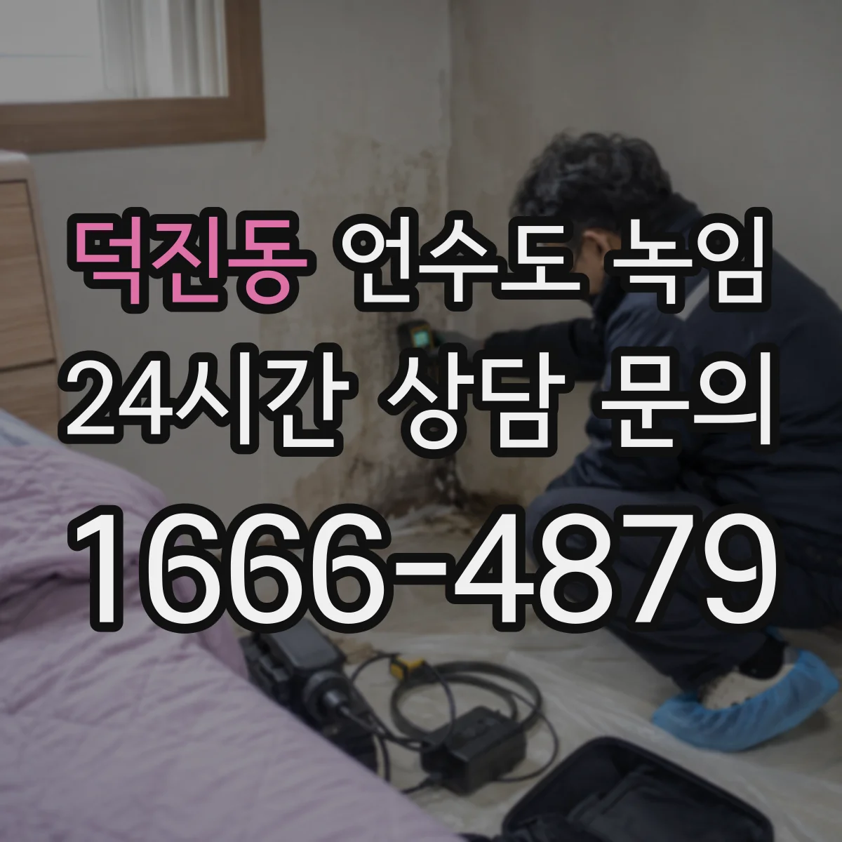 덕진동 언수도 녹임