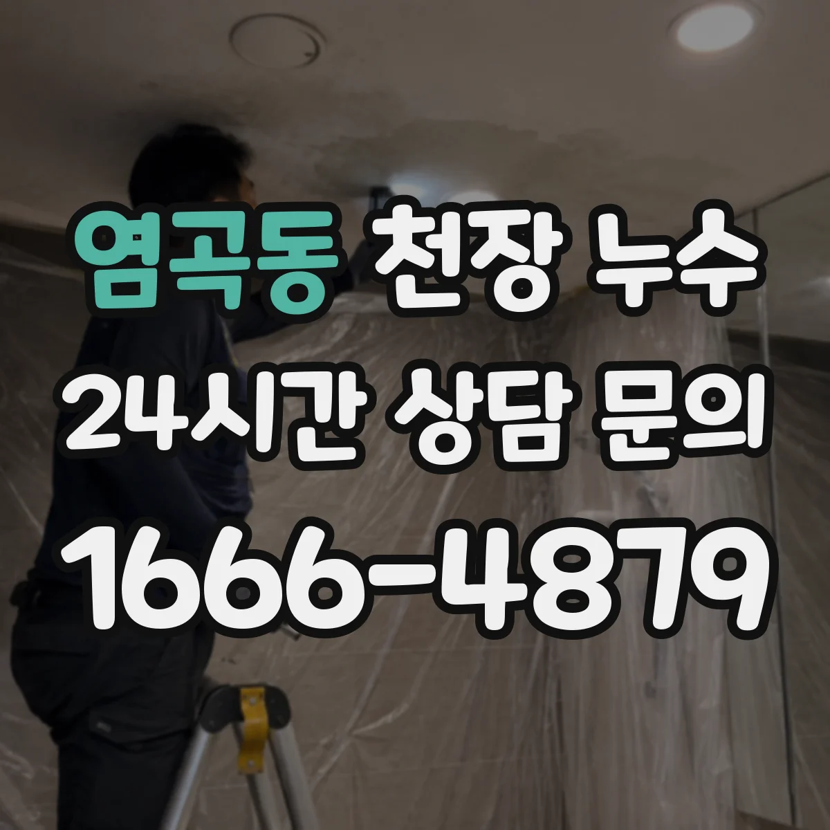 염곡동 천장 누수