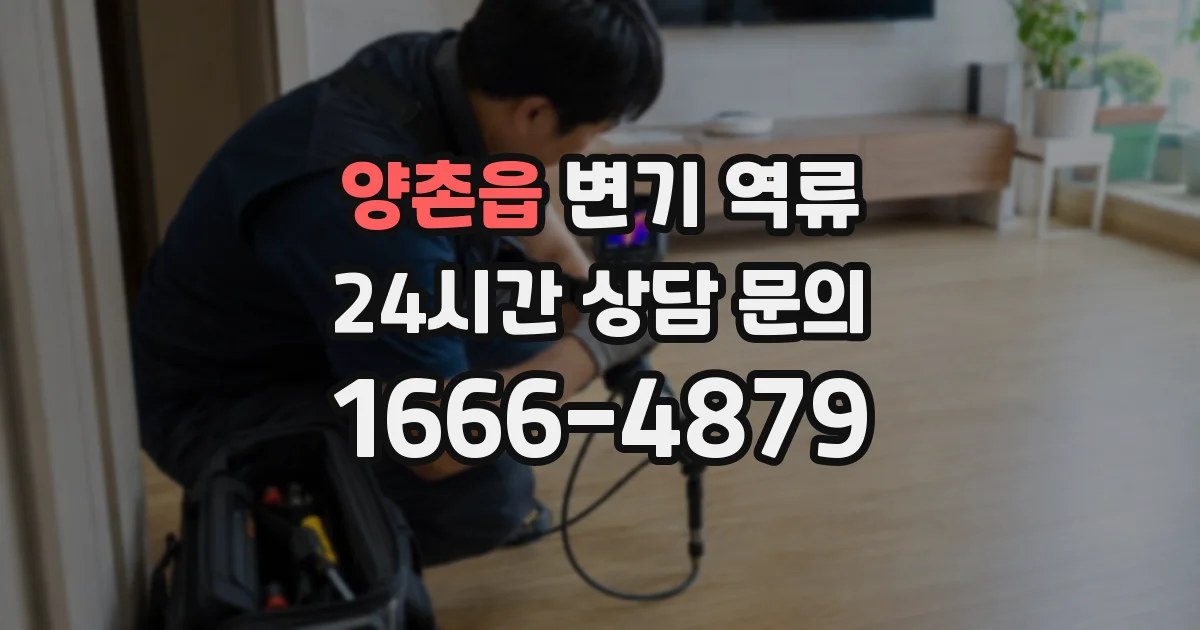 양촌읍 변기 역류