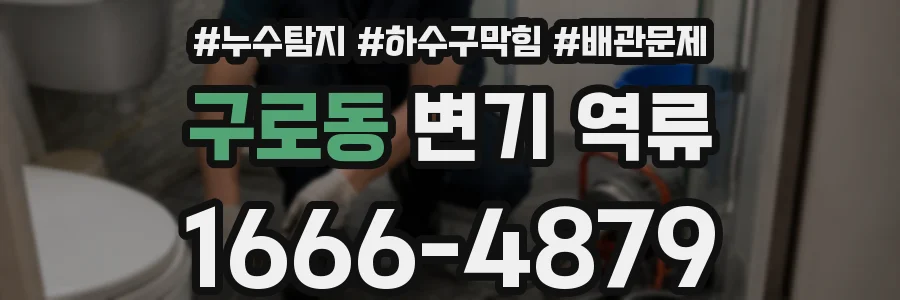 구로동 변기 역류