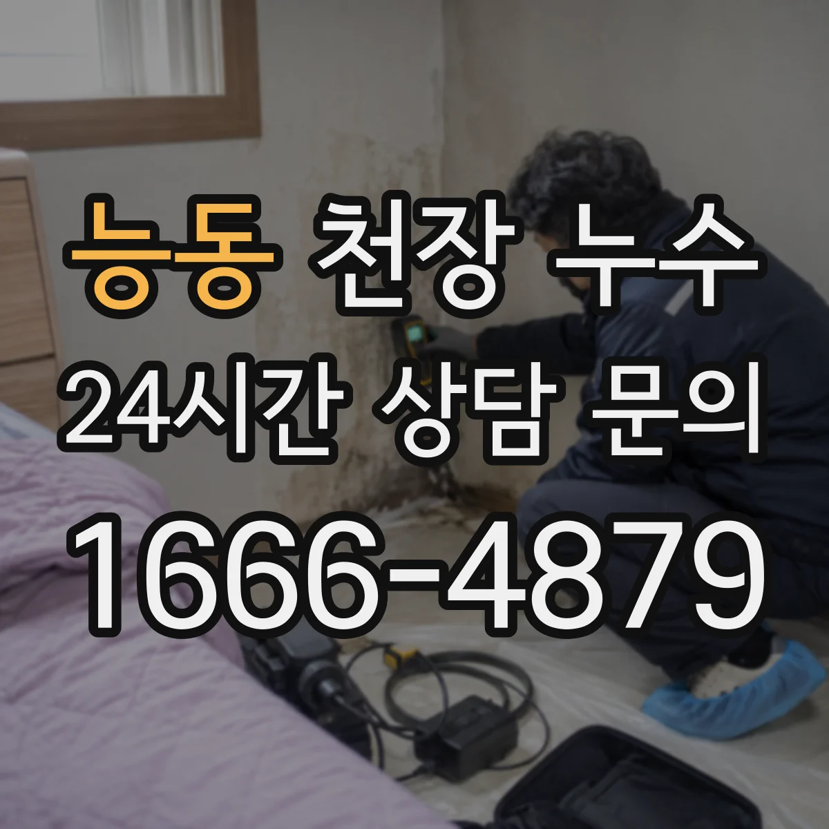 능동 천장 누수