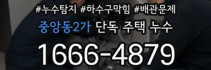 중앙동2가 단독 주택 누수
