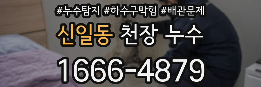 신일동 천장 누수