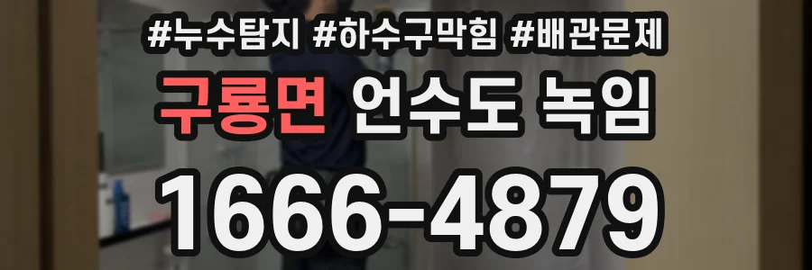 구룡면 언수도 녹임
