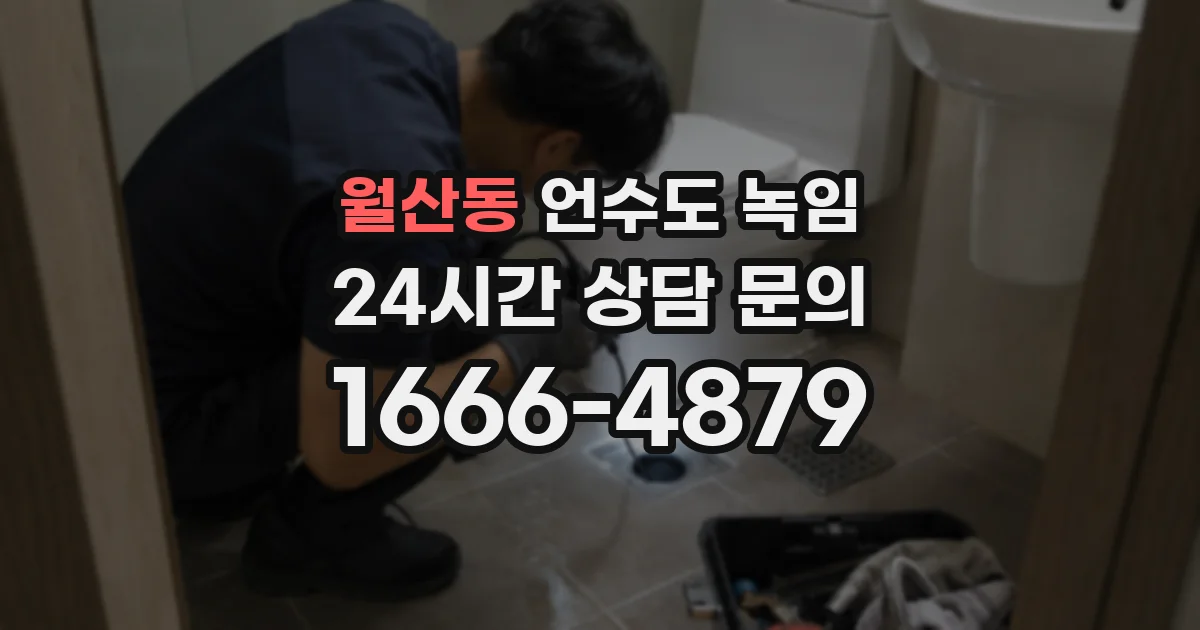 월산동 언수도 녹임