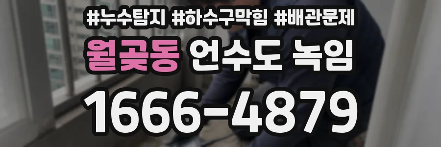 월곶동 언수도 녹임